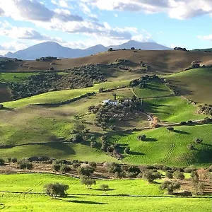 Campanas Ii Villanueva de la Concepción